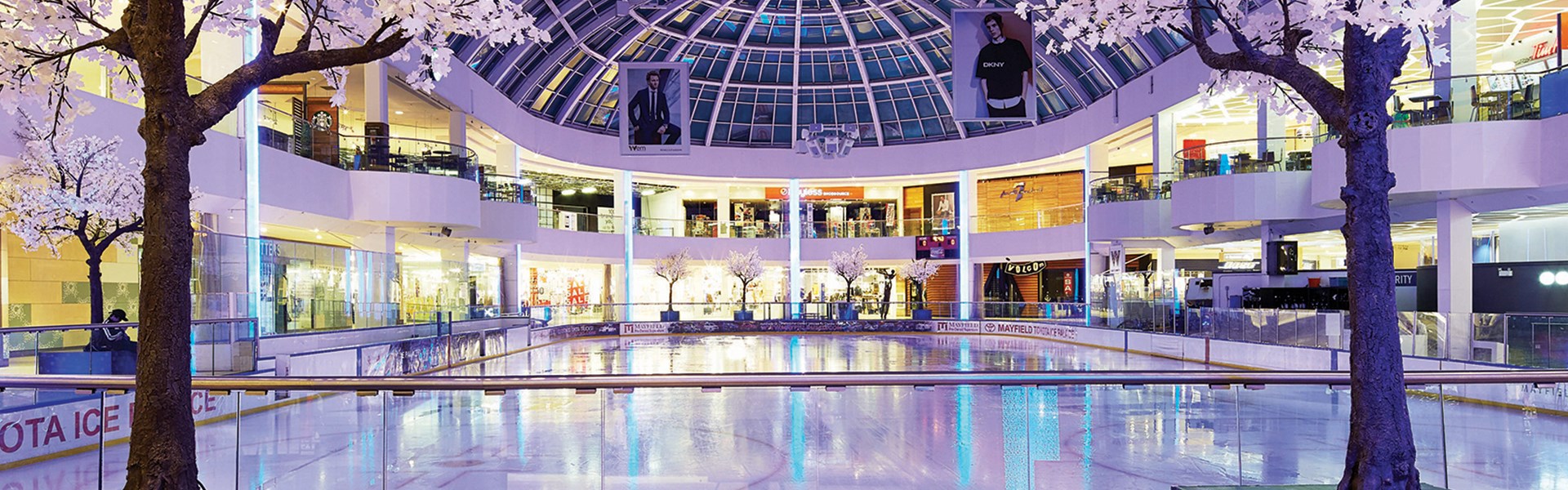 Ice Palace Exclusive Rental